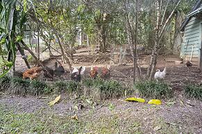 Sanctuary in The Pocket