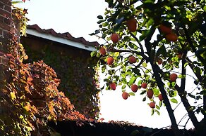 Photo Park Guesthouse