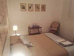 Camere Mazzini 49