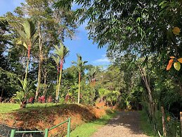 Paradise Lodge
