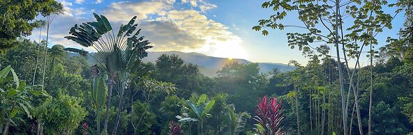 Paradise Lodge