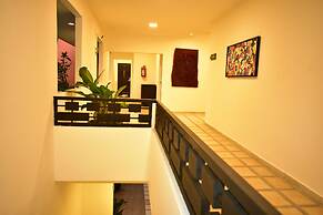 Maya Tulipanes Express