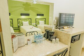 Maya Tulipanes Express