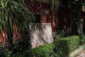 Maya Tulipanes Express