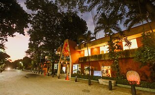 Maya Tulipanes Express