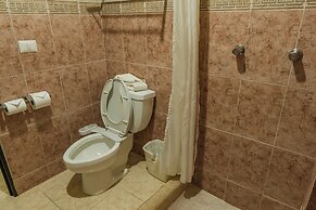 Maya Tulipanes Express