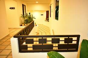 Maya Tulipanes Express