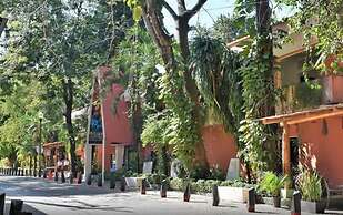 Maya Tulipanes Express