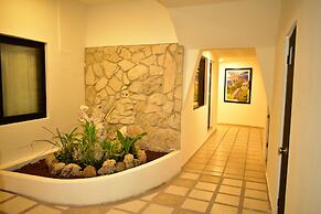 Maya Tulipanes Express