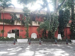 Maya Tulipanes Express