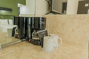 Maya Tulipanes Express