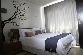 Denver Echo- Executive Guest House