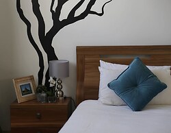 Denver Echo- Executive Guest House