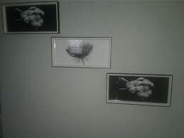 Denver Echo- Executive Guest House