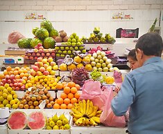 Casona 1914 Quito - Gothic Cathedral View Rooftop
