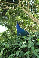 Hostería Río Escondido