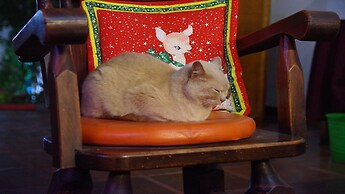Casa Gloria en Villa de Leyva