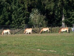Wildnisresidenz am Nationalpark