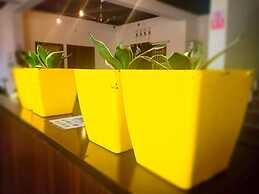 Transit Dorms - Hostel