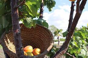 Agriturismo Masseria Cannella
