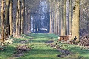 Vakantiewoning Fossee