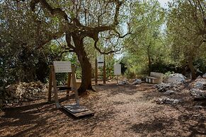 Marenea Suite Hotel - CDSHotels