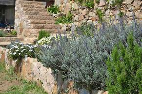 Mira Guincho house with sea view and garden