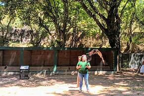 Vila Mafra - Grill Terrace
