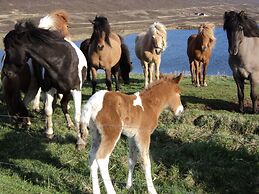 Vestmannsvatn Guesthouse