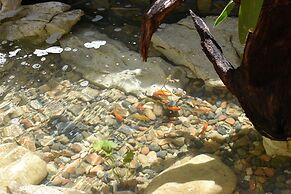 Casa Janaab Palenque - Hostel