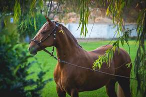 Monteverde Boutique Hotel