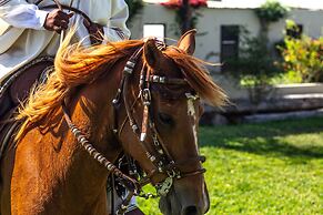 Monteverde Boutique Hotel