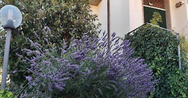Fabiola Bed & Breakfast