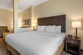 Comfort Inn & Suites Pittsburgh-Northshore