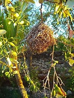 Makunduchi White House Apartment