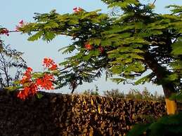 Makunduchi White House Apartment