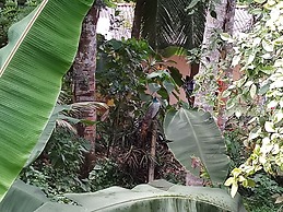 Villa River Paradise