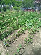 Holiday House Perkic mm