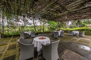 The Hidden Paradise Ubud