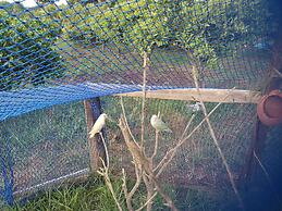 Hotel Le Palais d hotes