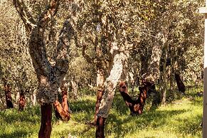 Monte Pirastru Country Resort