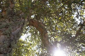 Monte Pirastru Country Resort