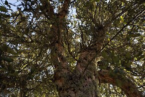 Monte Pirastru Country Resort