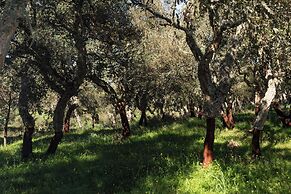 Monte Pirastru Country Resort