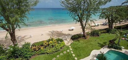 Old Trees 201 - The Casuarinas