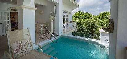 Old Trees 201 - The Casuarinas