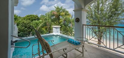 Old Trees 201 - The Casuarinas