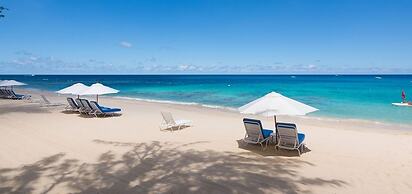 Old Trees 201 - The Casuarinas