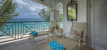 Old Trees 201 - The Casuarinas