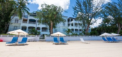 Old Trees 201 - The Casuarinas